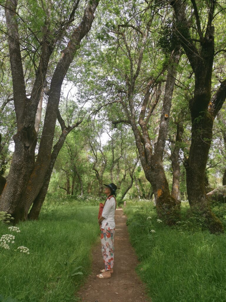 Terre Intérieure, se rencontrer au cœur de Mère Nature
